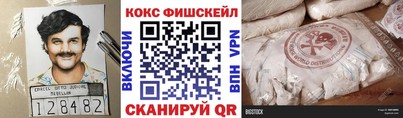 закладка Ясногорск COCAIN Эквадор