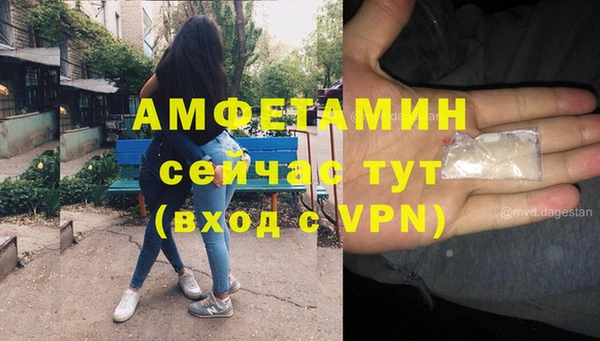 индика Белоозёрский