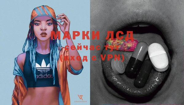индика Белоозёрский