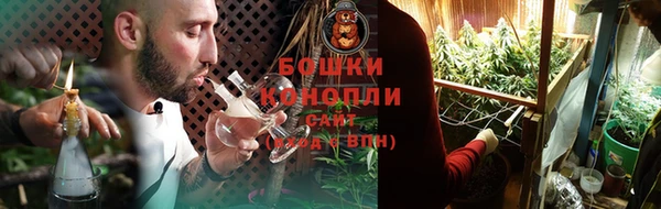 стаф Белокуриха